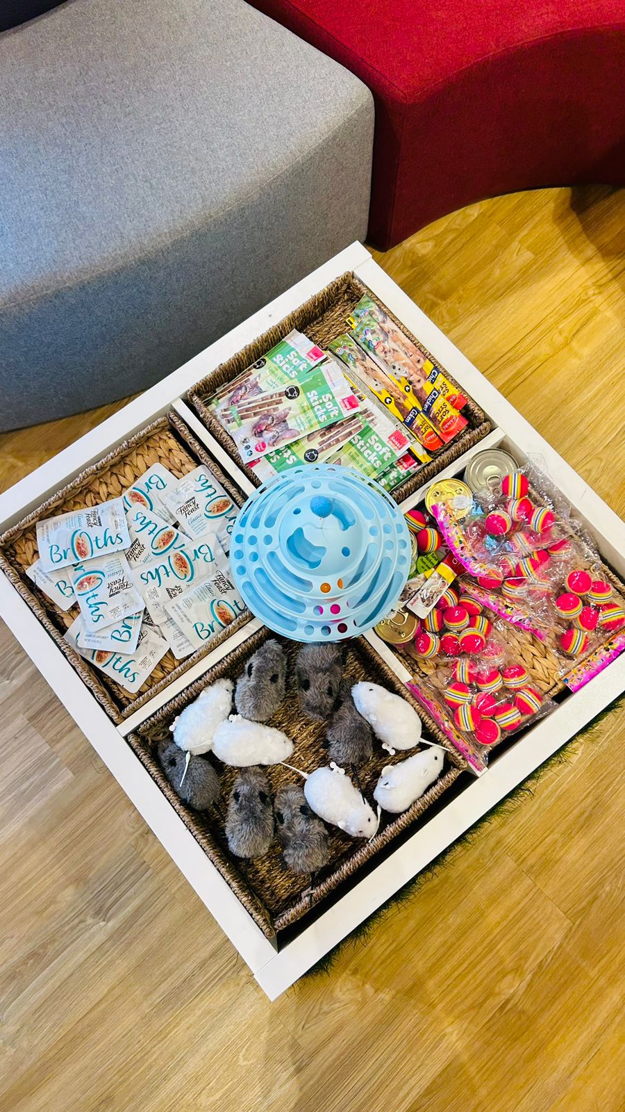 Pet Essentials whatsapp image 2023 11 21 at 9.09.44 am