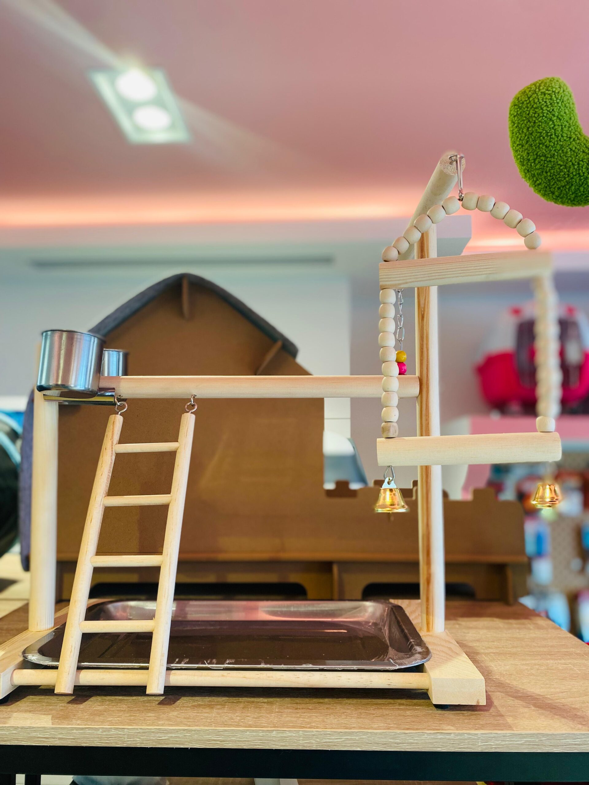 Pet Essentials whatsapp image 2023 11 22 at 1.27.05 pm 2