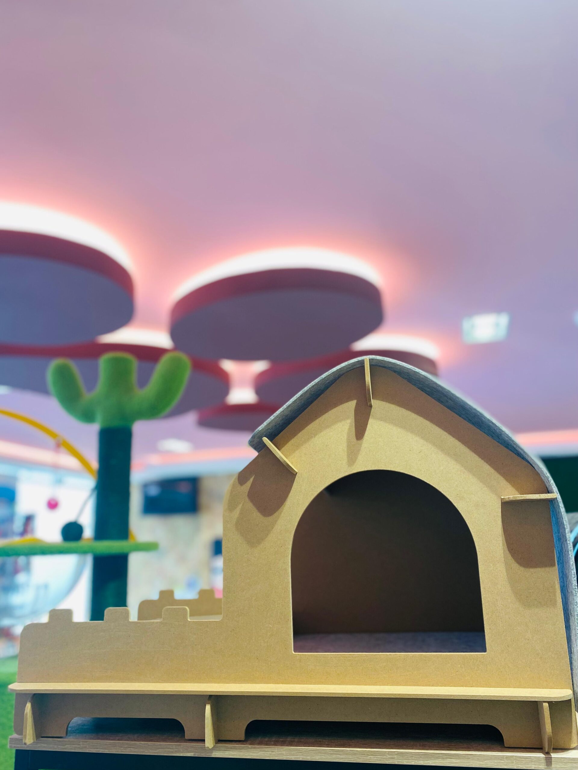 Pet Essentials whatsapp image 2023 11 22 at 1.27.05 pm