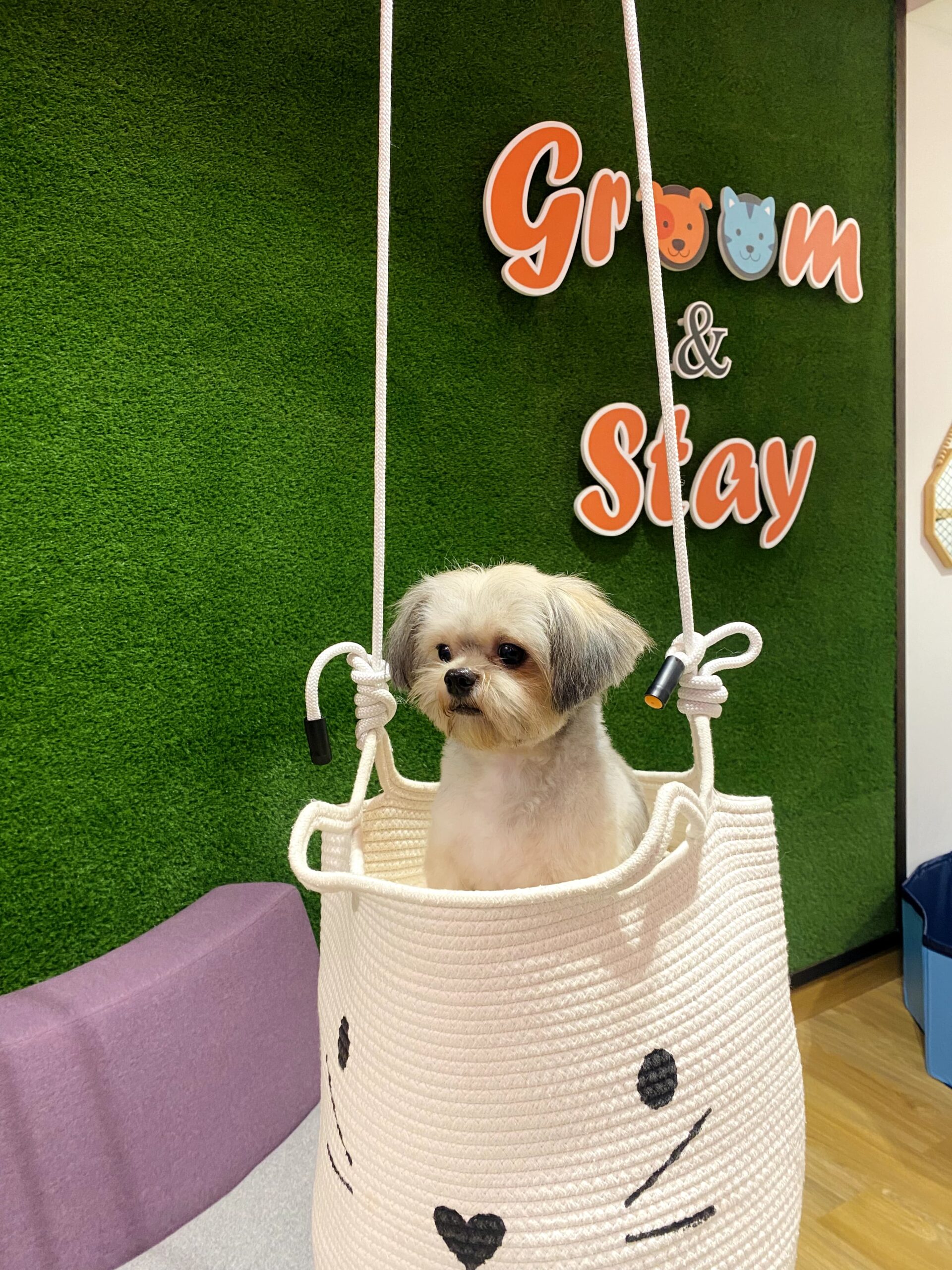 Pet Essentials whatsapp image 2023 11 30 at 1.19.32 pm