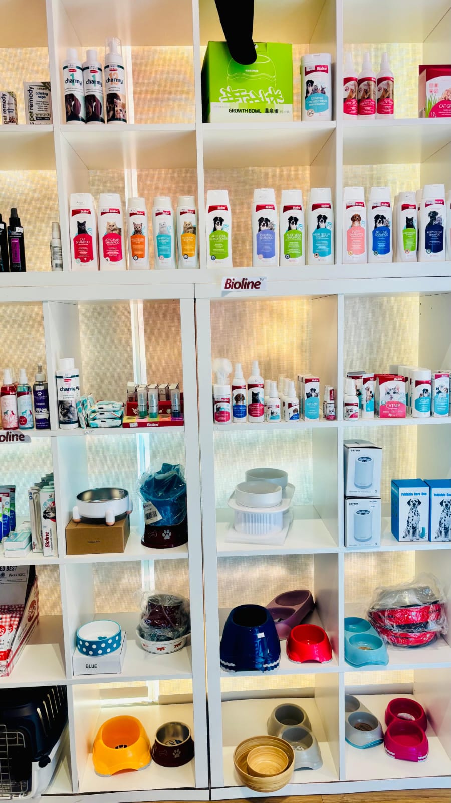 Pet Essentials whatsapp image 2025 09 17 at 1.49.38 pm