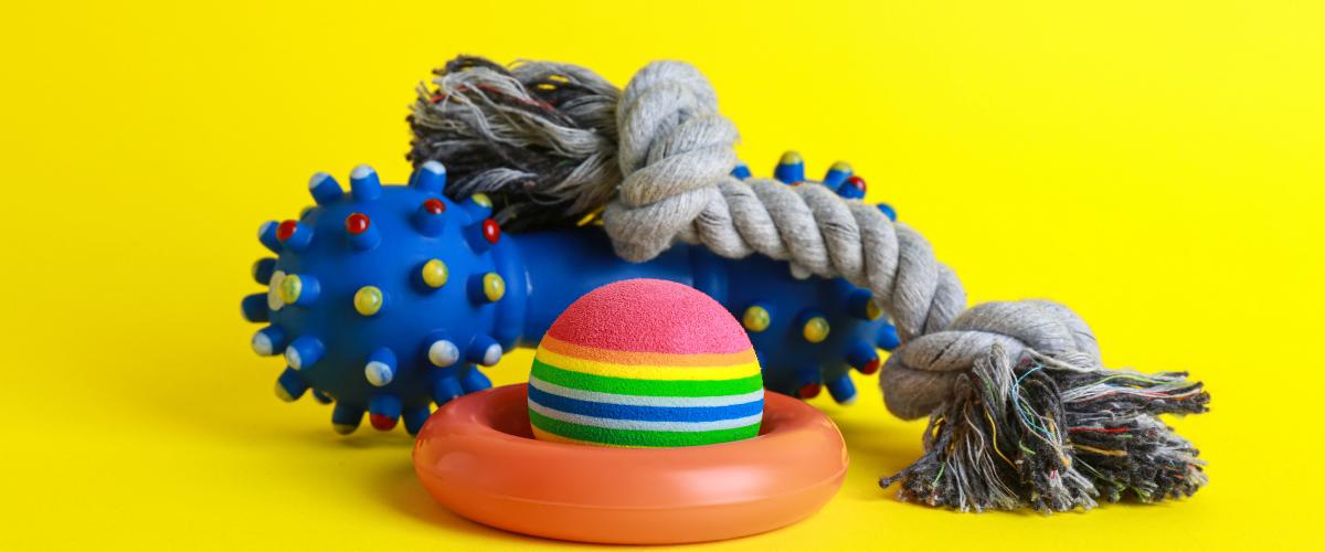 Pet Essentials whatsapp image 2025 09 24 at 11.10.13 am(14)