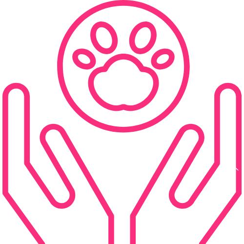 Grooming Services whatsapp image 2025 09 24 at 11.10.47 am