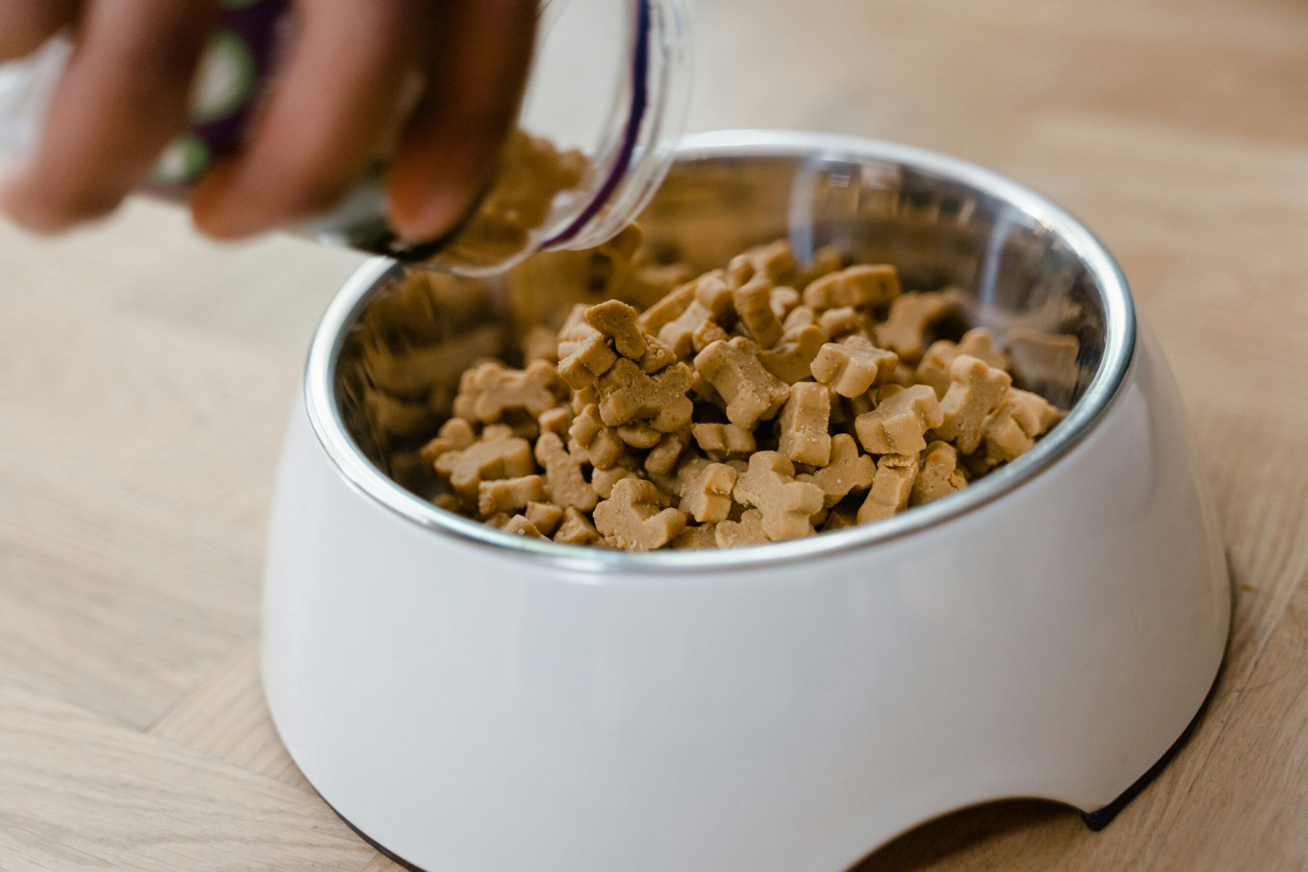 Pet Essentials Close-up of hand pouring dog biscuits into a bowl, perfect for pet care themes.